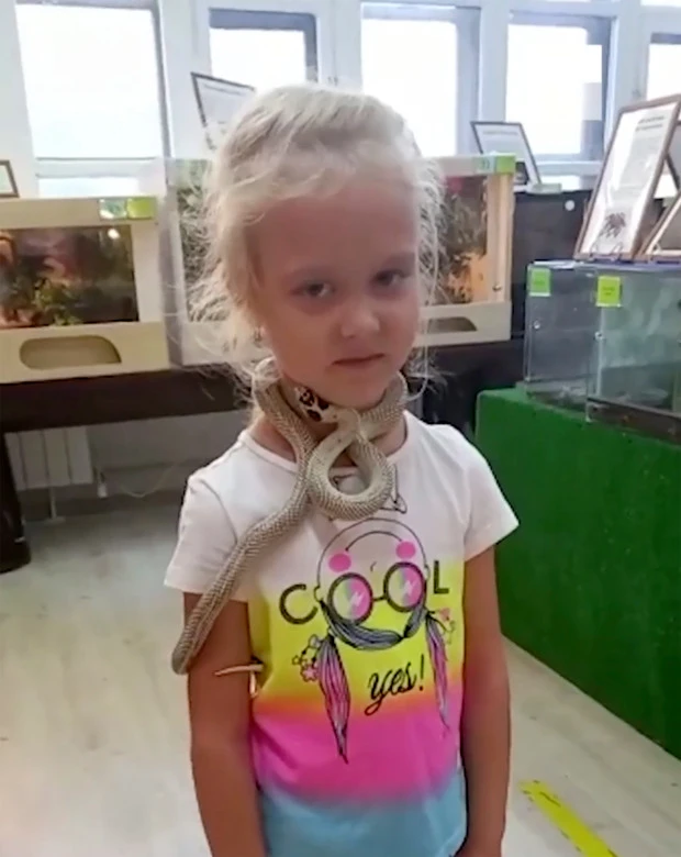 Rusya'da hayvanat bahçesinde kız çocuğunu yılan ısırdı: O anlar kamerada